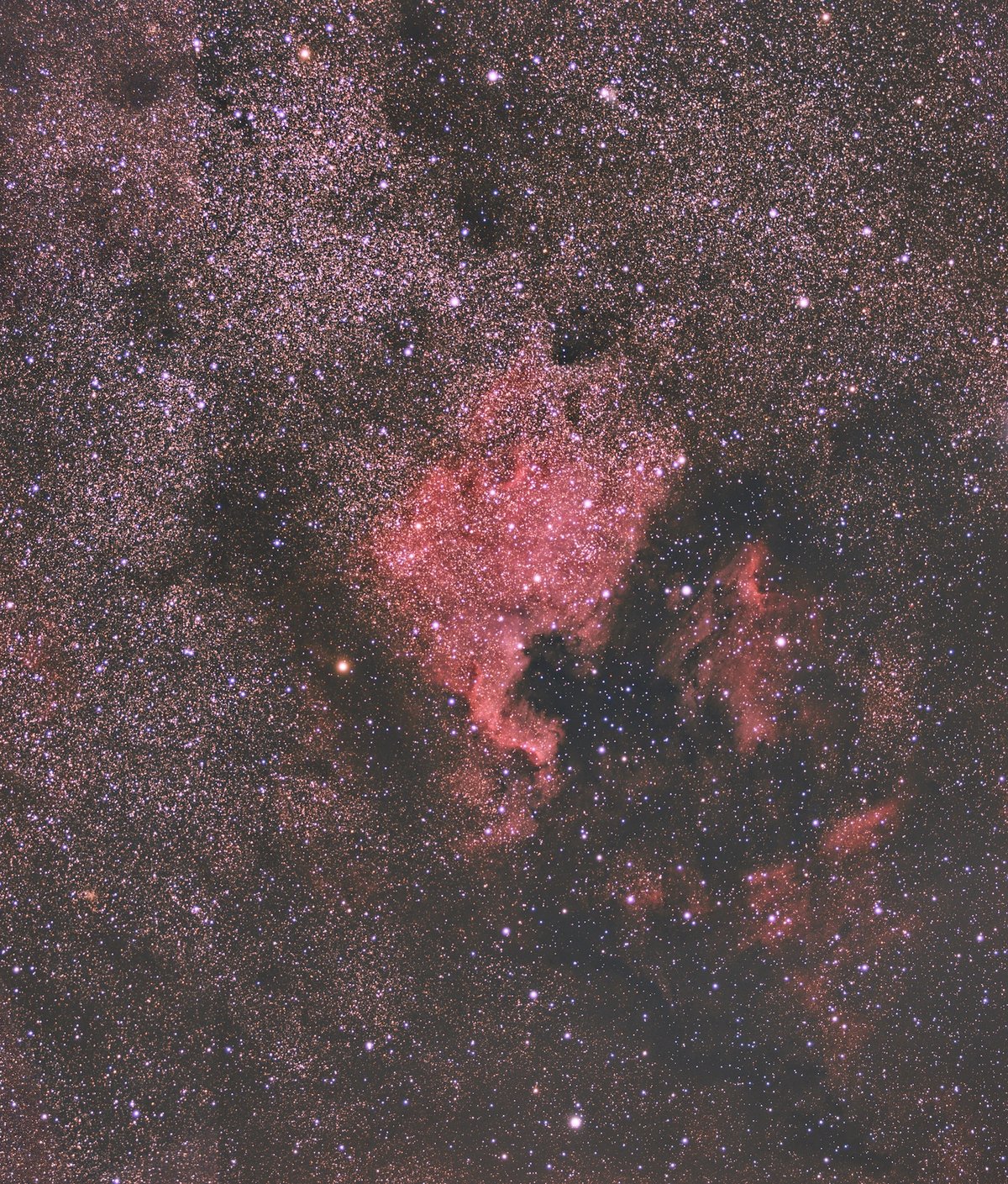 NGC 7000 Nebulosa de Norteamérica